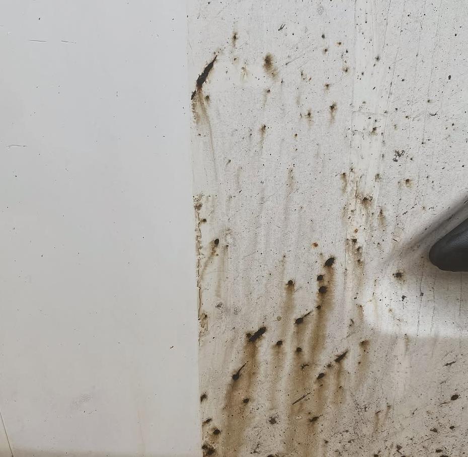 Taches de résine d'arbre sur la carrosserie d'une voiture.