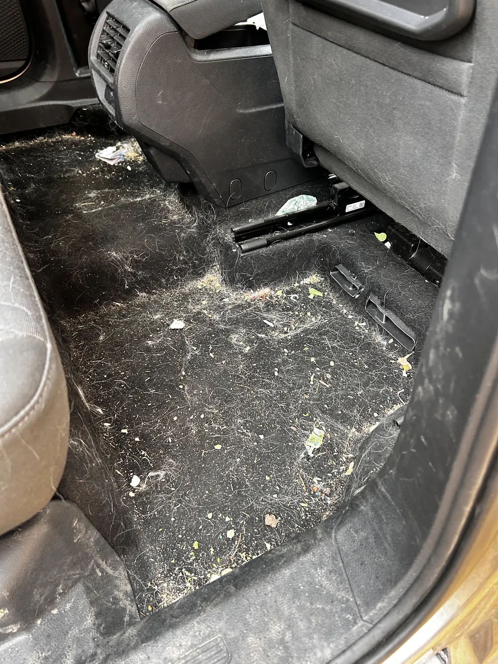 Plancher arriere de voiture incruste de poils et de poussiere avant detailing Doctor Shine Lyon